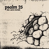 Psalm 25 (feat. Aaron McClain) artwork