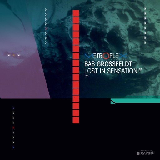 Lost In Sensation - Single by Bas Grossfeldt
