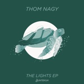 The Lights (feat. Bleu Roi) artwork