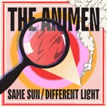 Same Sun / Different Light