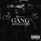 4hunnid Presents: Gang Affiliated artwork