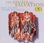 The Angels of Salvation - Voices of Comfort artwork