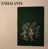 exhalants - Definitions