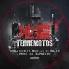 Terremotos (feat. Muelas De Gallo) - Single album lyrics, reviews, download