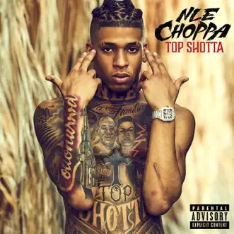 Shotta Flow 5 by NLE Choppa song reviws