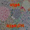 Rainbow Serpent - Nado lyrics