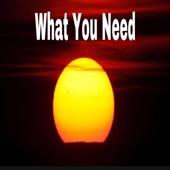 What You Need artwork