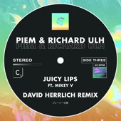 Juicy Lips (David Herrlich Remix - Extended Mix) artwork