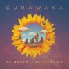 Te Nande (Mose Remix) - EP