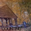 Counting - Single