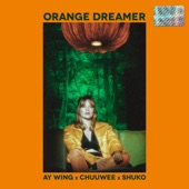 Orange Dreamer by Ay Wing