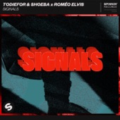 Todiefor - Signals