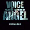 Voice of an Angel - Single album lyrics, reviews, download
