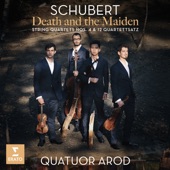 String Quartet No. 4 in C Major, D. 46: III. Menuetto. Allegro - Trio artwork