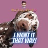 I Want It That Way (Remix) - Single