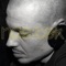 Assimilation (Deep Sector) - Nae:Tek & Deeperwalk lyrics