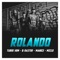 Rolando (feat. B RASTER, Menance & Miclo) - Turek Hem lyrics