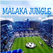 Malaka Jungle (feat. Zakro, Nezman, G.Flako, RGP, Macarra.G & Aliel9) [Remasterizado] artwork