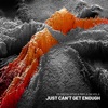 Just Can't Get Enough - Single