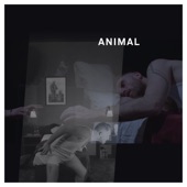 Animal (Radio Version) artwork