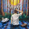 Swans