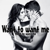 Want to Want Me artwork