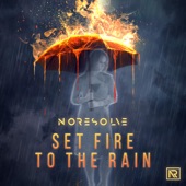 Set Fire to the Rain artwork