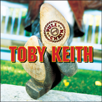 Toby Keith - Pull My Chain artwork