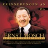 Die Egerländer Musikanten - Musikantenparade
