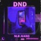 DND (Do Not Disturb) [feat. Alexander Dreamer] - Nlbjuano lyrics