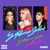 Yo Perreo Sola (Remix) artwork