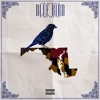Blue Birdz