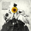 In Bloom - Single