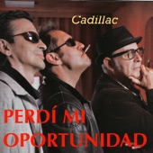 Perdí Mi Oportunidad (Cadillac 25 Años) artwork