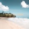 Relaxing Instrumental for Restaurants - Coffee House Instrumental Jazz Playlist lyrics