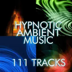 111 Track Hypnotic Ambient Music and White Noise for Deep Sleep, Relaxation Meditation: Asian Zen Spa, Massage, Chill, Relax, Wellness, Yoga, New Age Sounds by Various Artists album reviews, ratings, credits