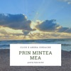 Prin Mintea Mea (feat. Andra Iordache) - Single
