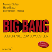 Manfred Spitzer, Harald Lesch & Friedemann Schrenk - Big Bang - Vom Urknall zum Bewusstsein artwork