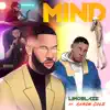 Mind Remix (feat. Aaron Cole) - Single album lyrics, reviews, download