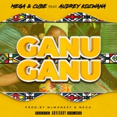 GanuGanu (feat. Audrey Kozwana) artwork