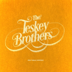 The Teskey Brothers - Pain and Misery - Line Dance Chorégraphe