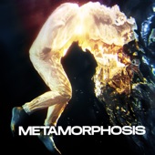 Metamorphosis (feat. Anna Colom) artwork