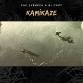 Kamikaze artwork