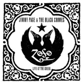 Jimmy Page & The Black Crowes - Shake Your Money Maker