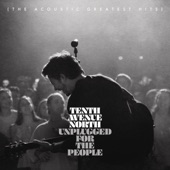 Unplugged for the People (The Acoustic Greatest Hits) artwork