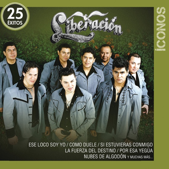 Cover artwork for Si Estuvíeras Conmigo