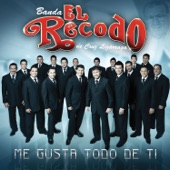 Banda El Recodo De Cruz Lizárraga - Yo Te Daría Mi Vida (Album Version)