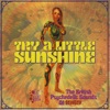 Try A Little Sunshine (The British Psychedelic Sounds Of 1969)