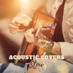 Acoustic Covers Slow by Various Artists album reviews, ratings, credits