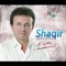 Shqiptar Kosovali (feat. Hekuran Krasniqi) - Shaqir Cervadiku lyrics